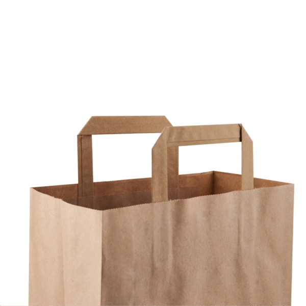 Paper Shopping Bag