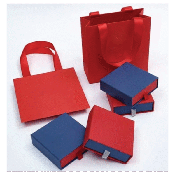 Professional Paper Bags With Box