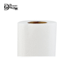 Twin Pack Embossed Maxi Roll 2 Ply
